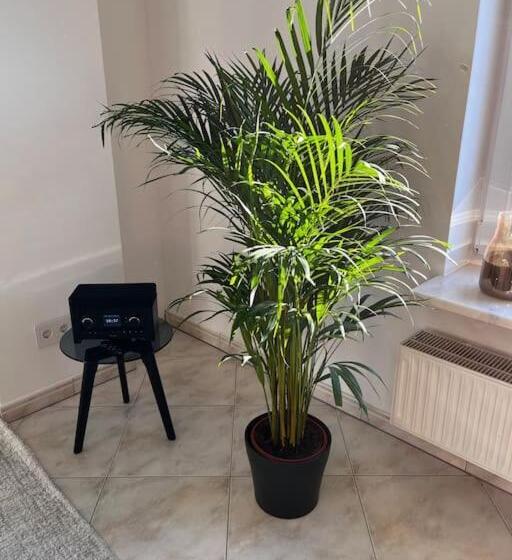 Schöne 110 Qm Große Moderne Und Helle Wohnung