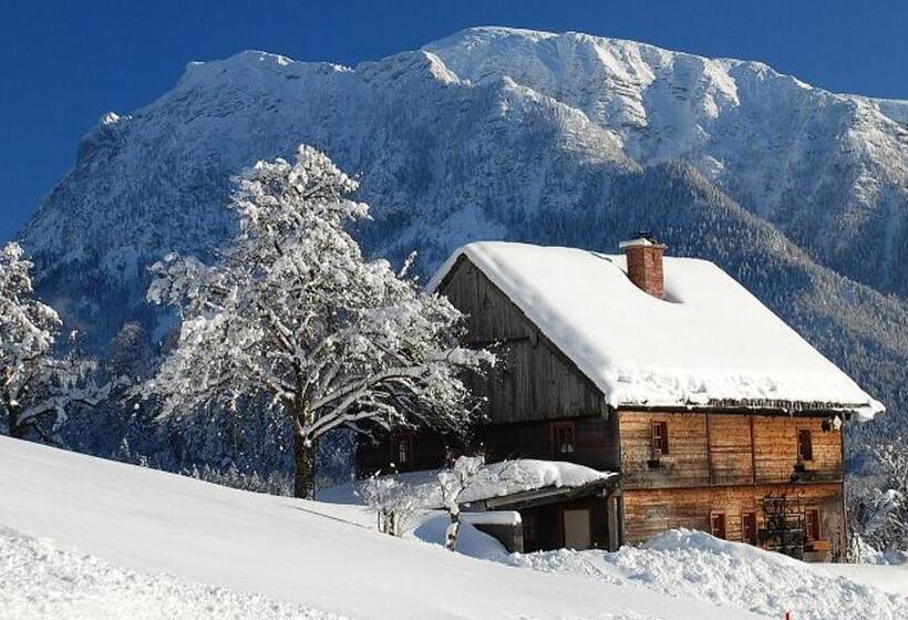 Apartment Goisernperle