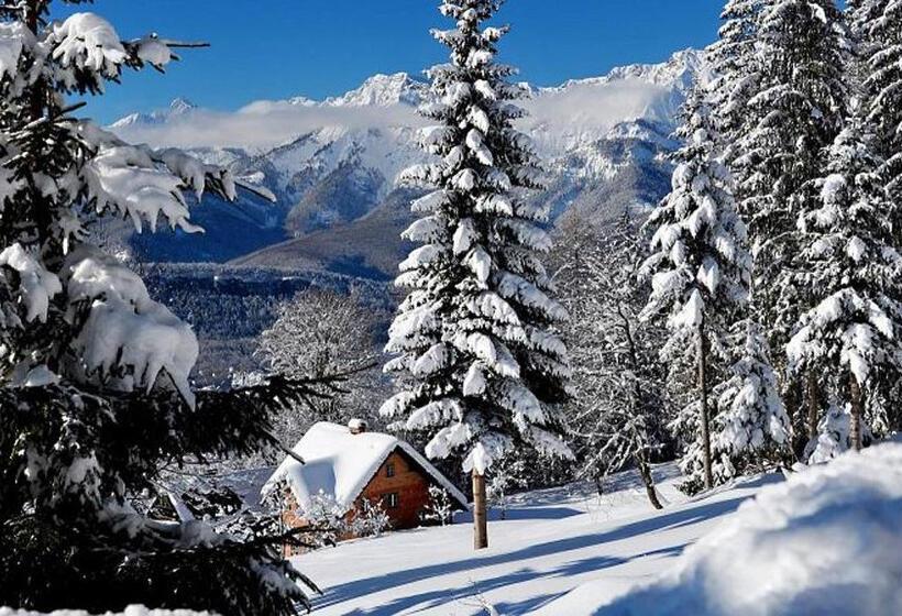 Apartment Goisernperle