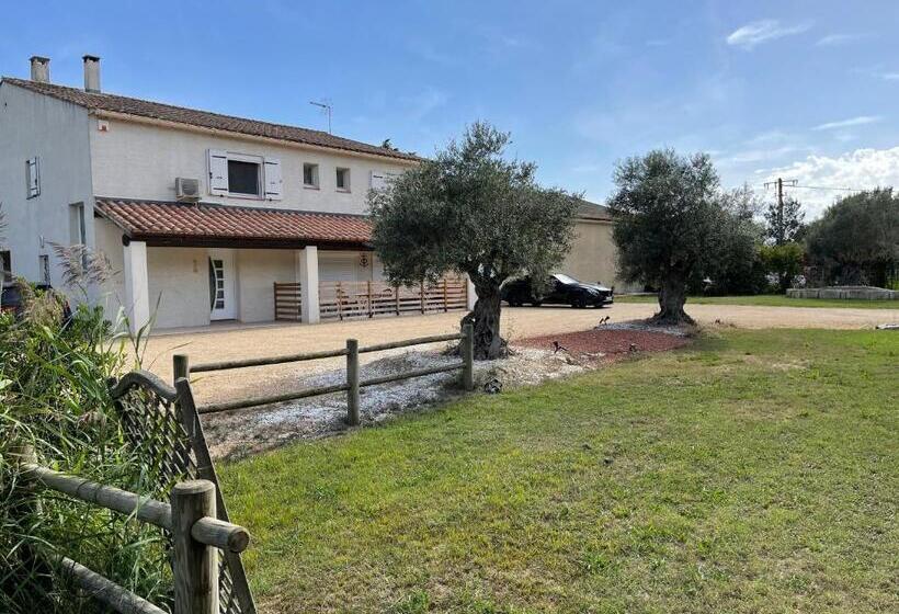 Appartements Calmes Le Mas De Lauriane