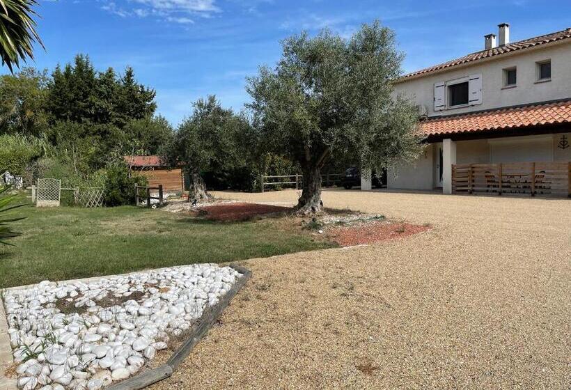 Appartements Calmes Le Mas De Lauriane