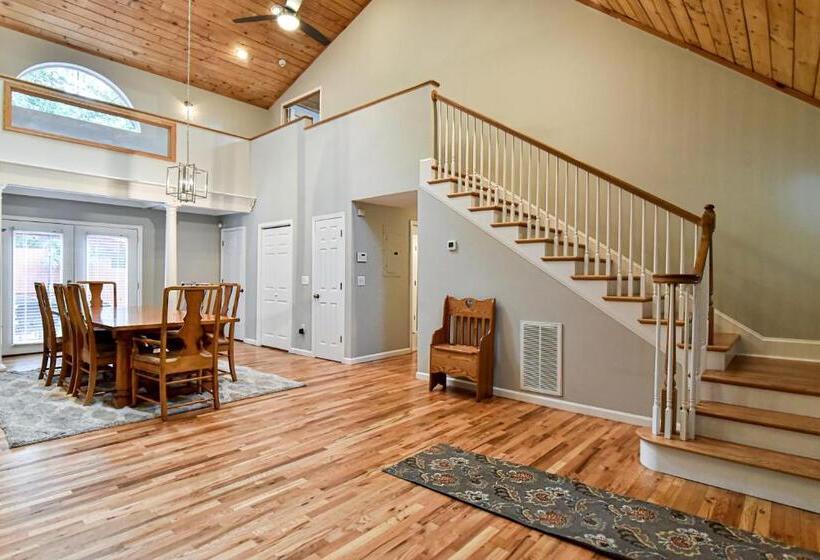 Black Mountain Beauty