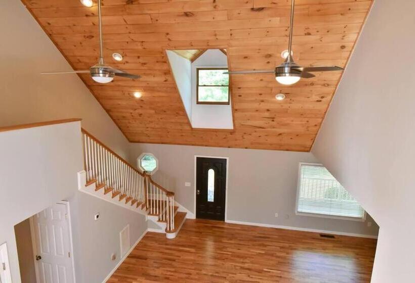 Black Mountain Beauty