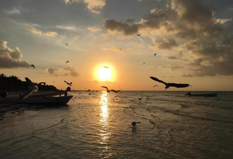 Casa Hridaya Hotel Boutique