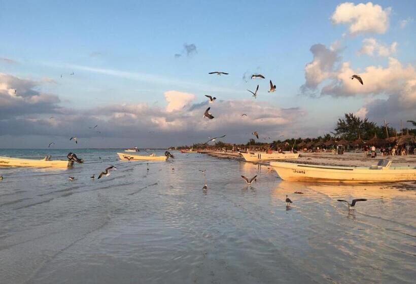 Casa Hridaya Hotel Boutique