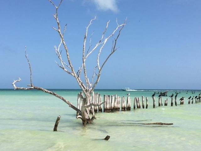 Casa Hridaya Hotel Boutique