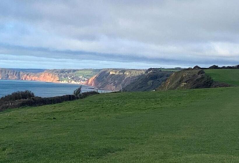 Haslemere   Beer Devon