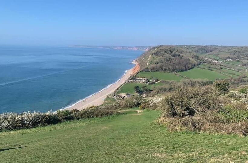 Haslemere   Beer Devon