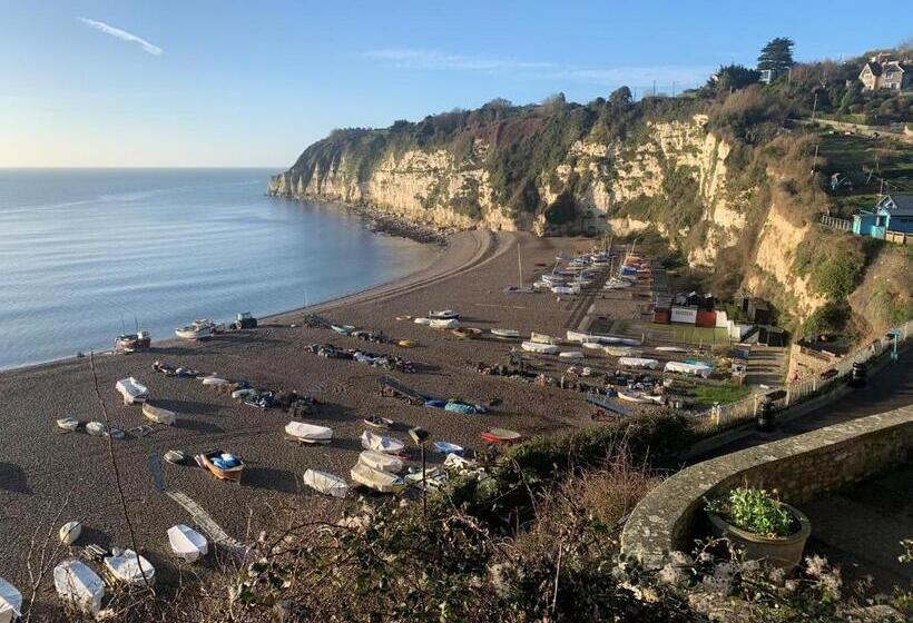 Haslemere   Beer Devon