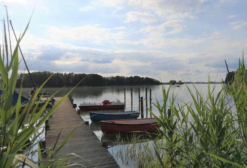 Hausschwanenseewohnung19