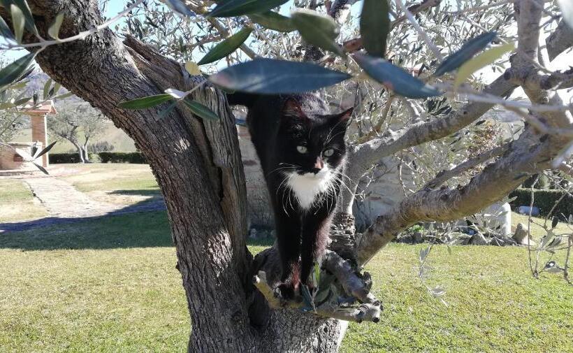 酒店 Agriturismo Casa Al Povero