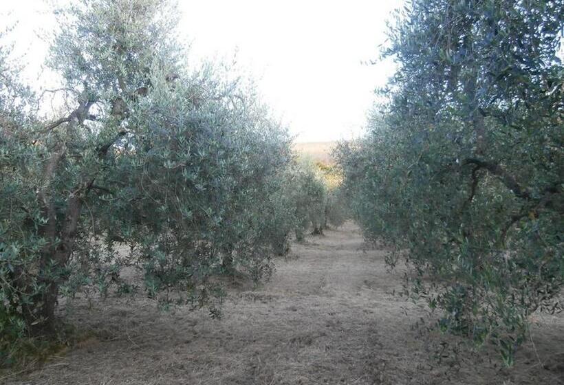 호텔 Agriturismo La Fonte