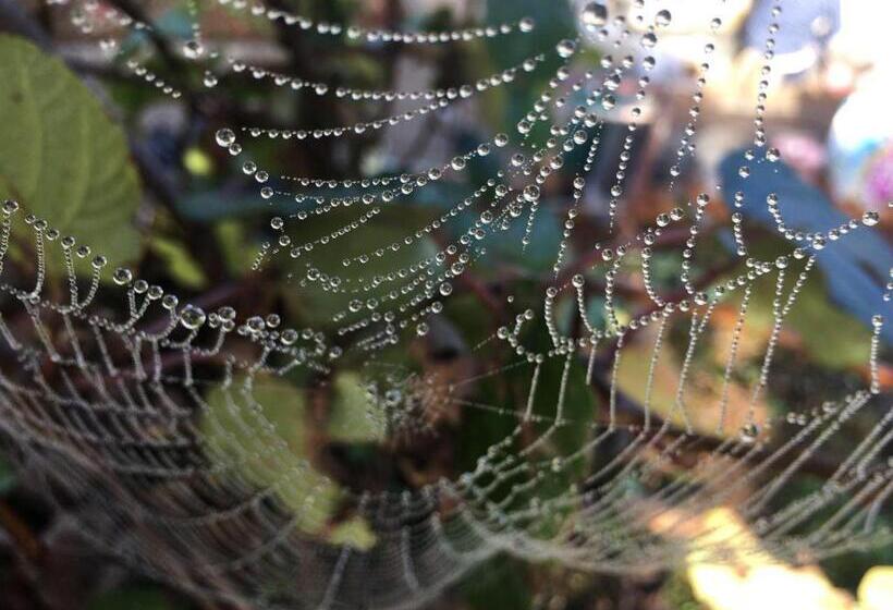 فندق Agriturismo Puro