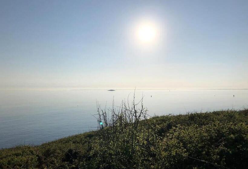 Kerijsel T3 Arzon Port Du Crouesty Et Port Navalo