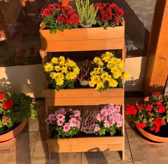 פנסיון Aranyfürt Vendégház