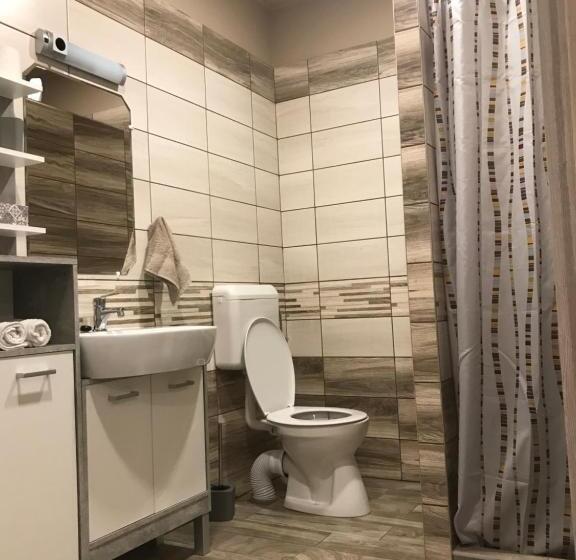 펜션 Aranyfürt Vendégház