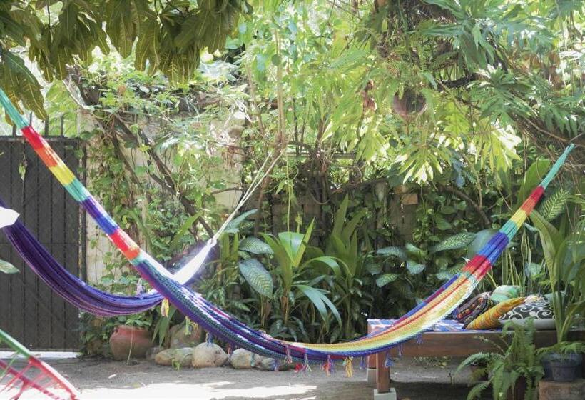 פנסיון Casa Santaella