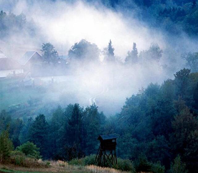 بنسيون Vadszőlős Porta