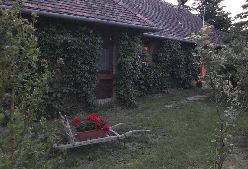 بنسيون Vadszőlős Porta