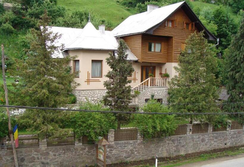 Pensiunea Aurora Albac