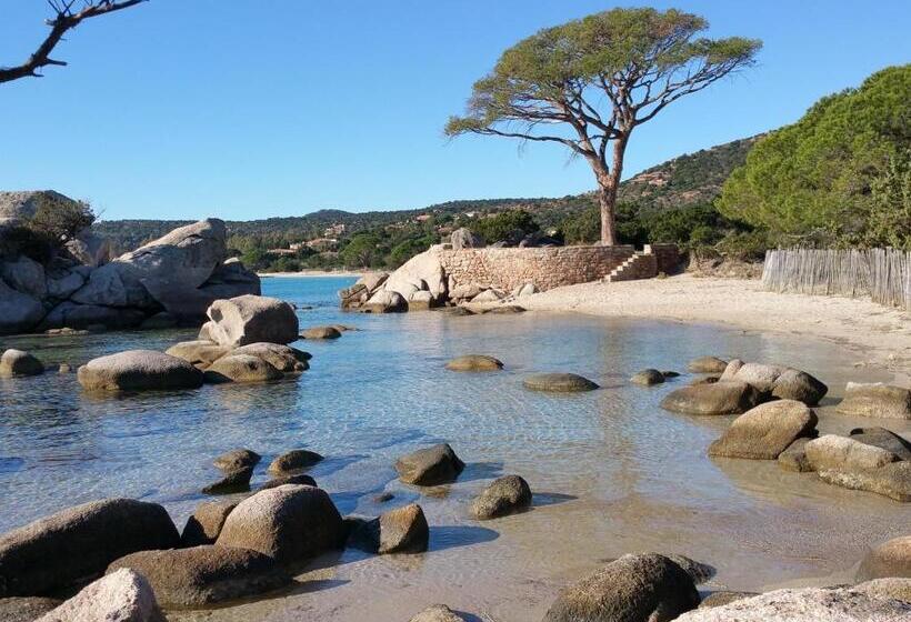 Résidence Liccia Di Furu