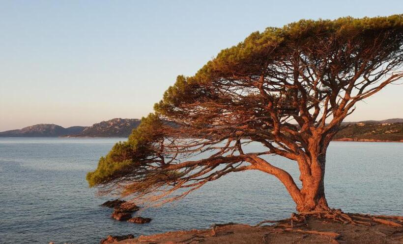 Résidence Liccia Di Furu