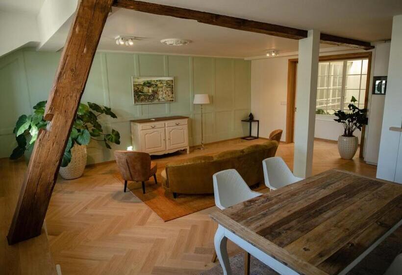 Familienwohnung Im Herzen Von Bern Mit Pool Und Sauna