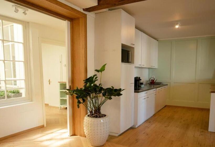 Familienwohnung Im Herzen Von Bern Mit Pool Und Sauna