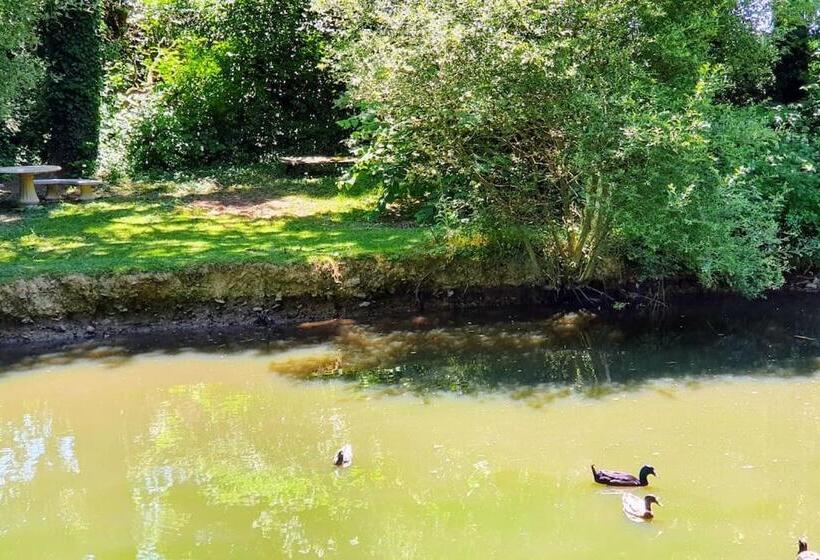 Tout Le Confort Au Milieu D Un Parc Botanique