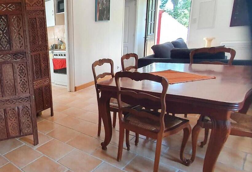 Tout Le Confort Au Milieu D Un Parc Botanique