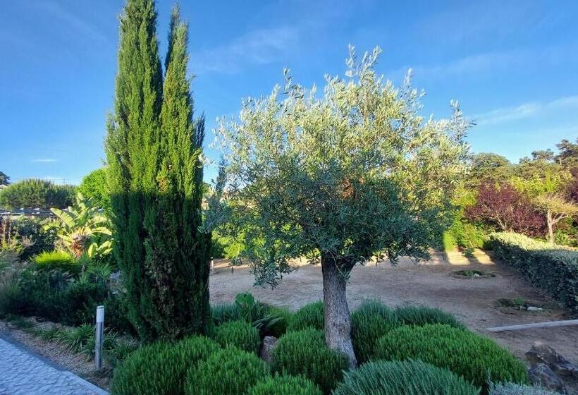 Villa Da Fonte By Meco