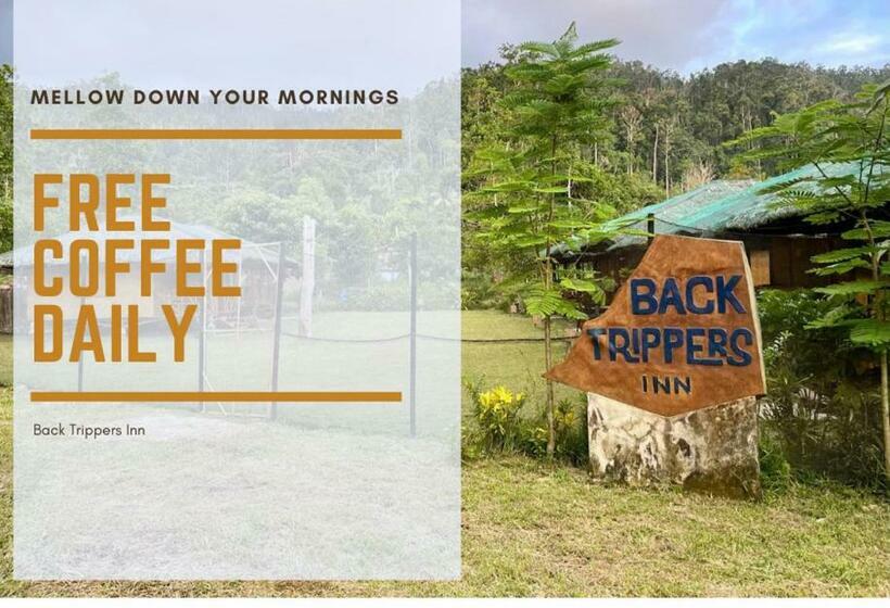 هاستل Back Trippers Inn