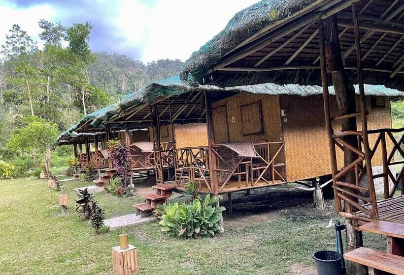 هاستل Back Trippers Inn