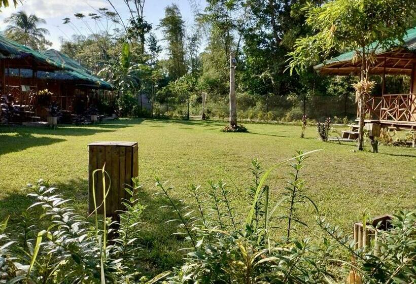 هاستل Back Trippers Inn