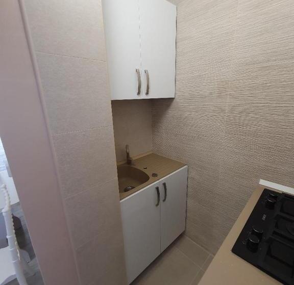 Apartament Ultracentral Gabriel