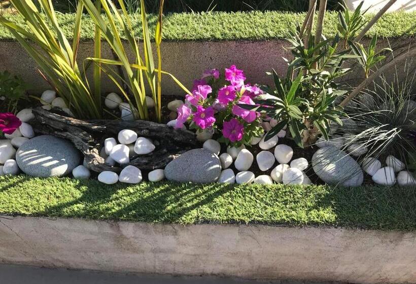 Appartement T1 Plain Pied