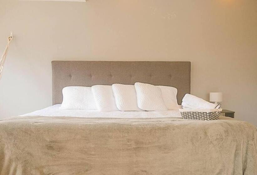 Boutique House   Private Pool & Rooftop On Best Location Barranquilla !