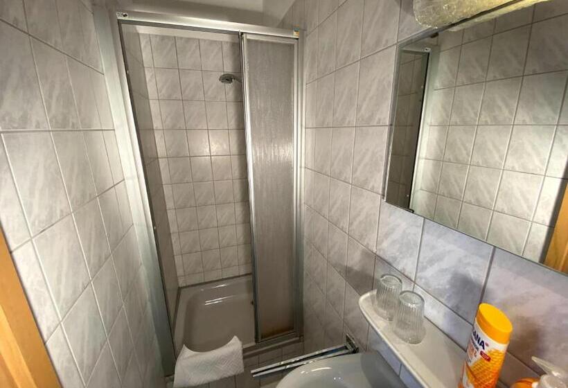 Budget Pension Plauen