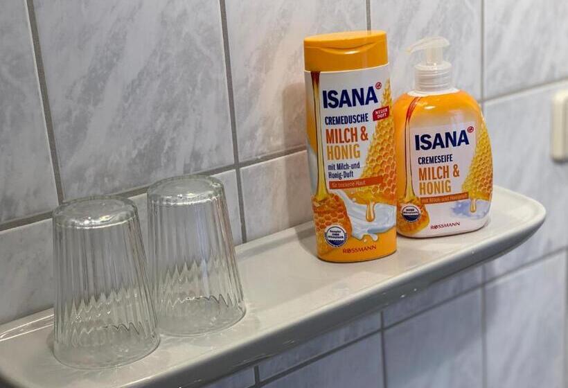 Budget Pension Plauen