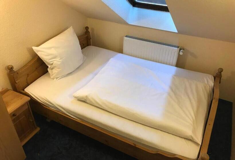 Budget Pension Plauen