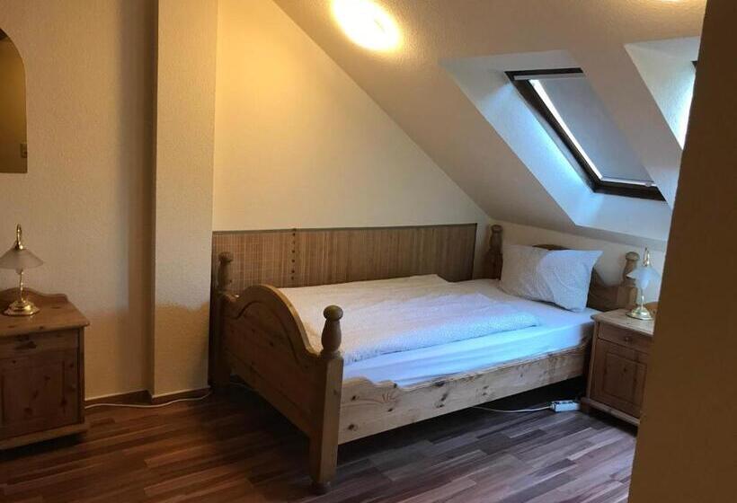 Budget Pension Plauen