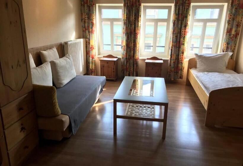 Budget Pension Plauen