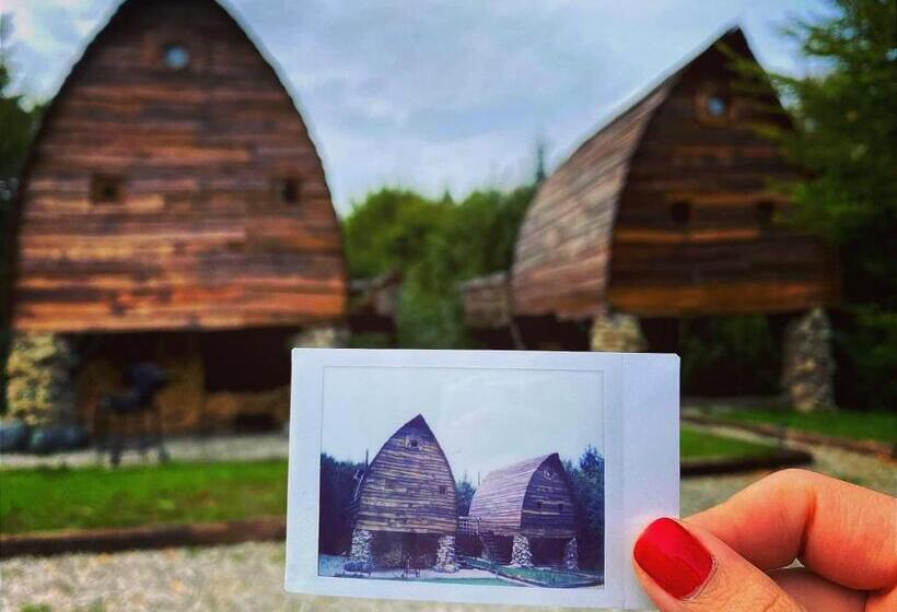 Căsuțele De Sub șipote