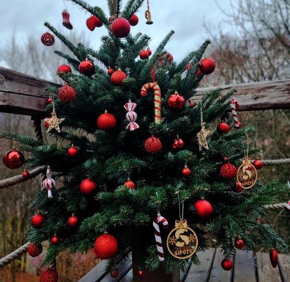 Căsuțele De Sub șipote