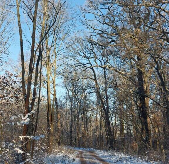 Gemütliche Zwei Zimmer Ferienwohnung W1 In Zwenkau Bei Leipzig Im Neuseenland