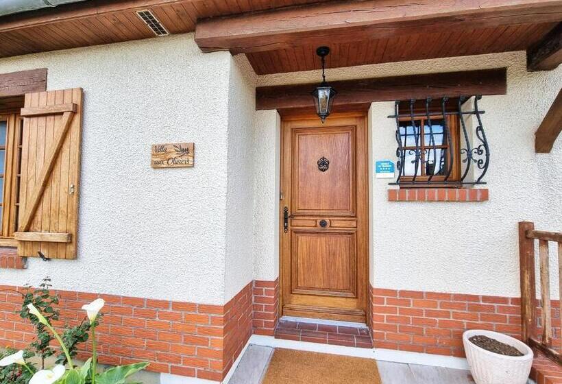 La Villa Aux Oliviers