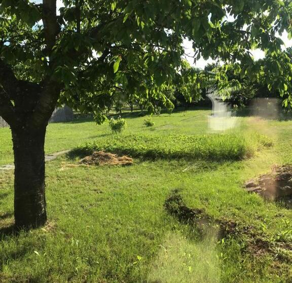 életvirág Rezidencia és Vendéglak