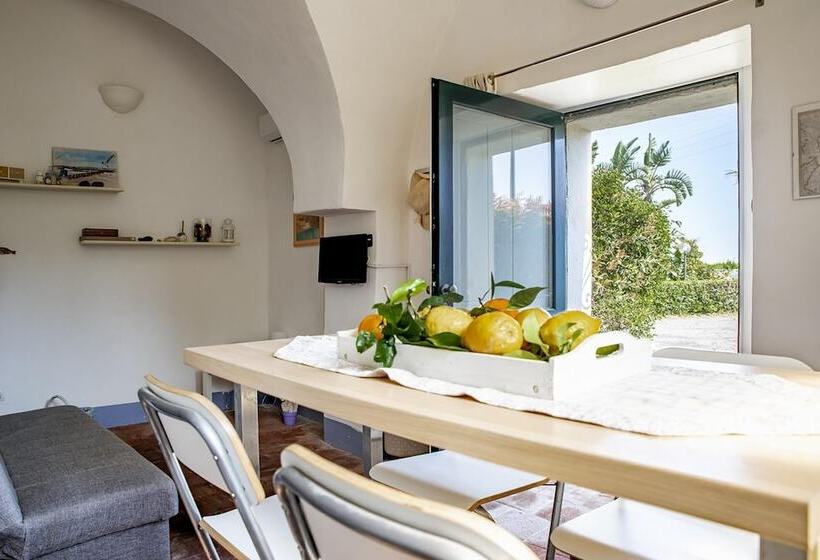 Loft Sole By Wonderful Italy