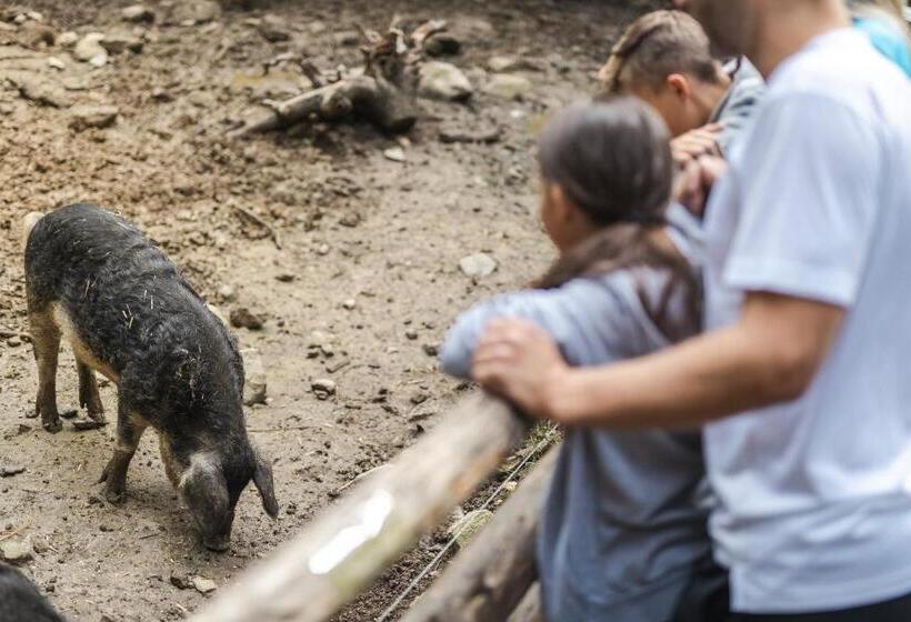 Myhome Apartments Umhausen