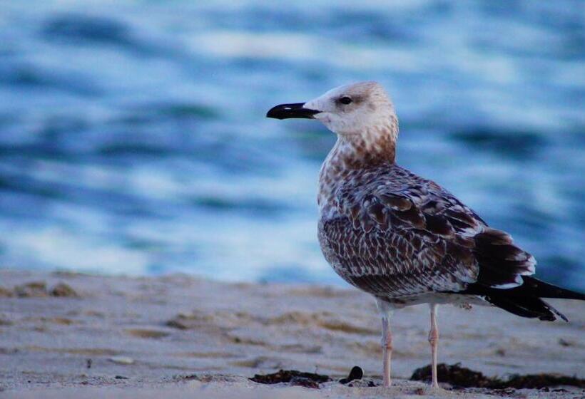 Objekte In Sierksdorf Heimathafen 54 10
